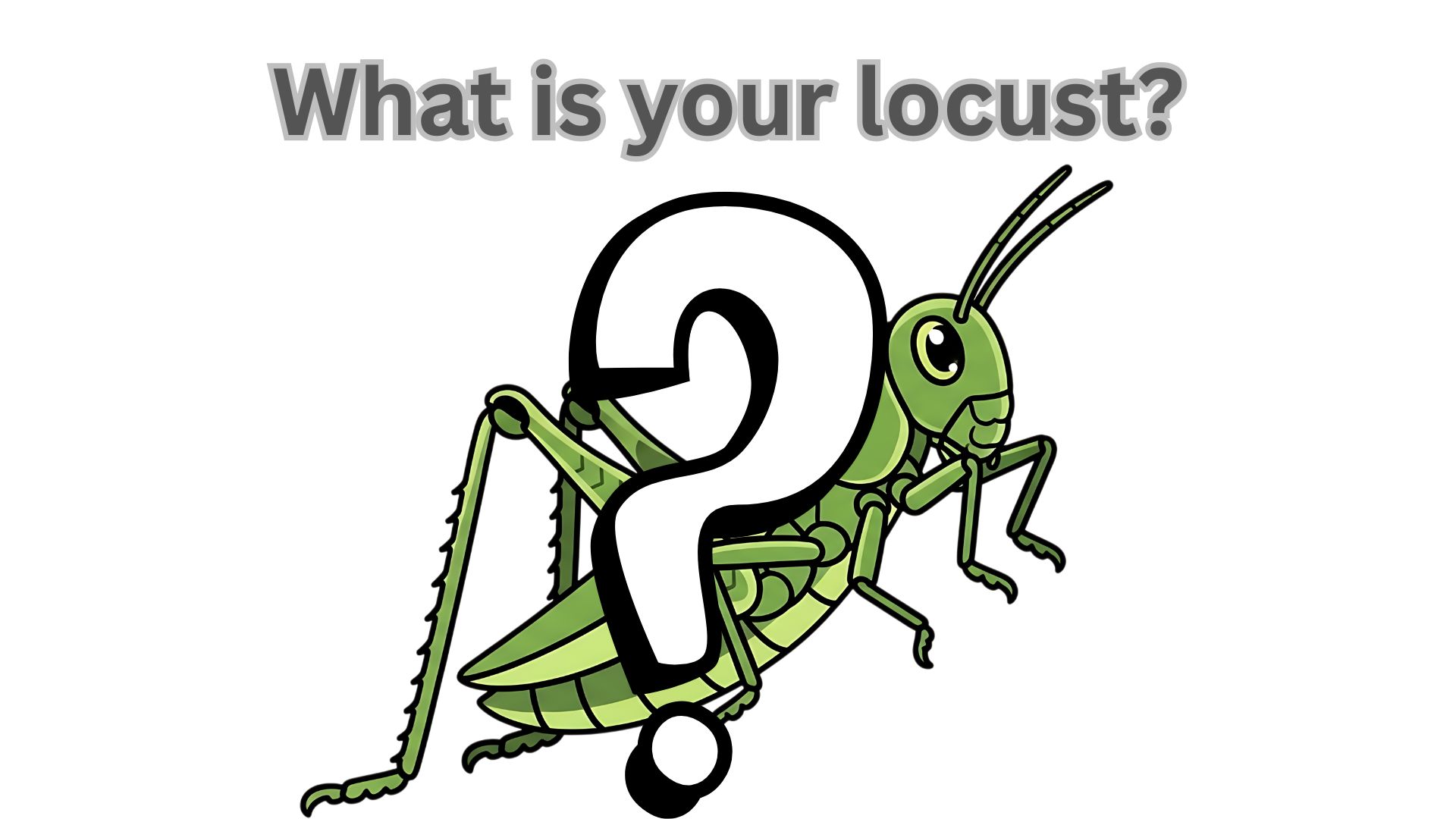What is your locust?